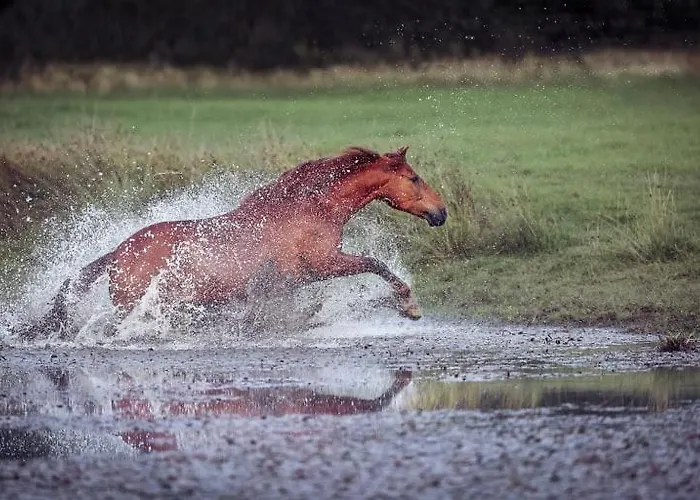 Bed & Breakfast Sostgard *